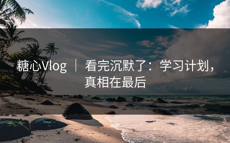 糖心Vlog ｜ 看完沉默了：学习计划，真相在最后