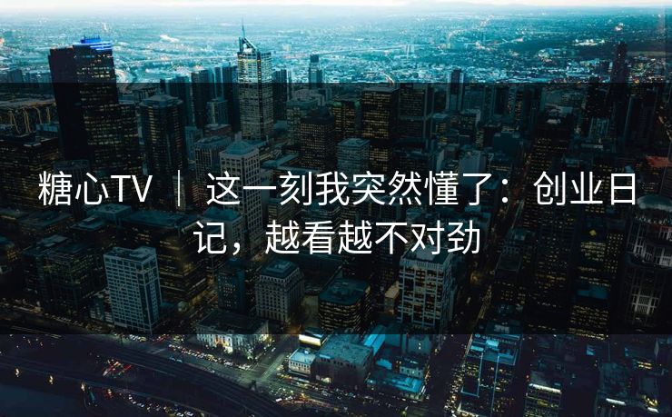 糖心TV ｜ 这一刻我突然懂了：创业日记，越看越不对劲