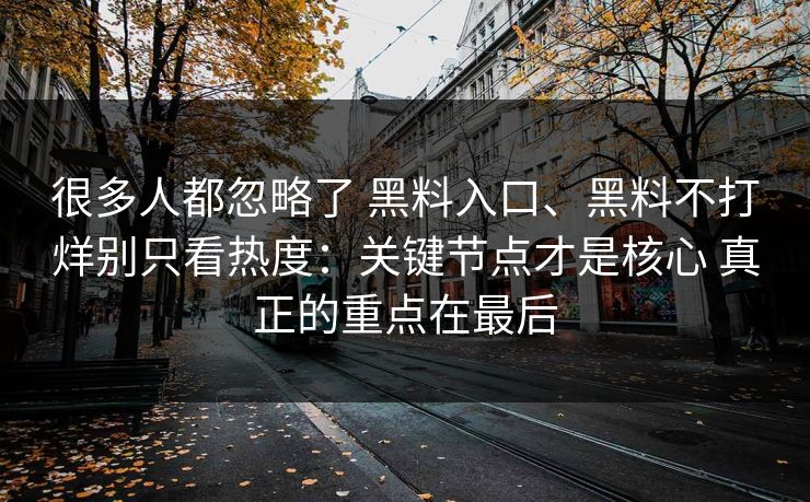 很多人都忽略了 黑料入口、黑料不打烊别只看热度：关键节点才是核心 真正的重点在最后