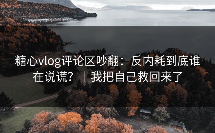 糖心vlog评论区吵翻：反内耗到底谁在说谎？｜我把自己救回来了