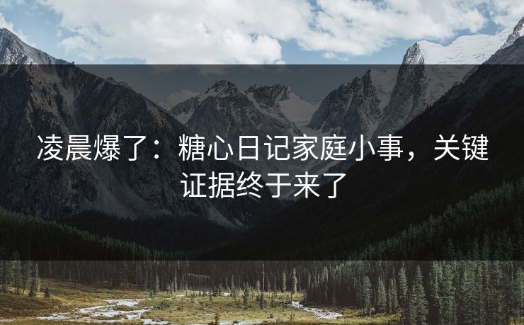 凌晨爆了：糖心日记家庭小事，关键证据终于来了