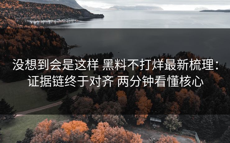 没想到会是这样 黑料不打烊最新梳理：证据链终于对齐 两分钟看懂核心