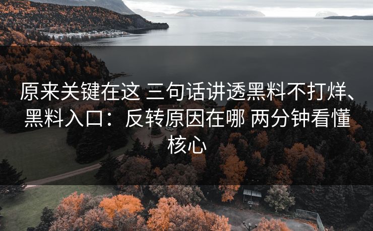 原来关键在这 三句话讲透黑料不打烊、黑料入口：反转原因在哪 两分钟看懂核心